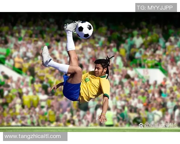 葡萄牙足球传奇球星的辉煌历程与历史影响解析