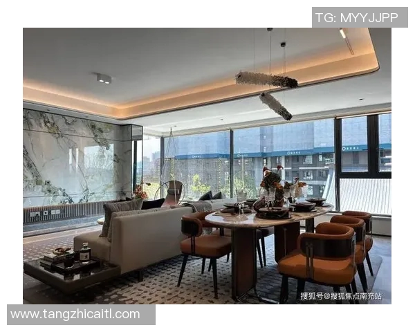 足球球星纪念册的市场价值分析及其收藏潜力探讨